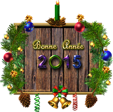 Bonne année 2015