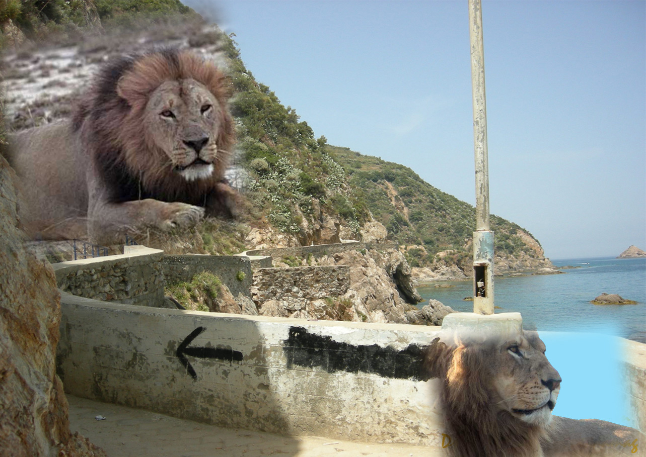 Le ravin des deux lions